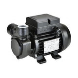 PFT Replacement Water Pump 240 volt / 415 volt